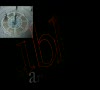 Arte Publico 01