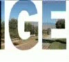 Riego Inteligente