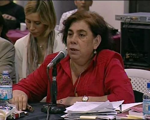 Informe Alegatos Querella 2013