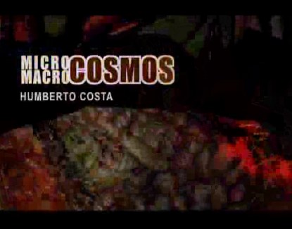   Programa Universidad & Sociedad N 5 21 04 2012