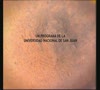 Programa Universidad & Sociedad N 19 18 08 2012
